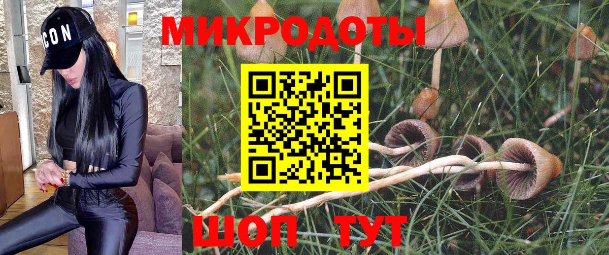 Псилоцибиновые грибы MAGIC MUSHROOMS Белая Калитва